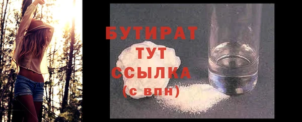 хмурый Ельня