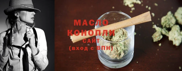 хмурый Ельня