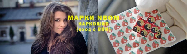 хмурый Ельня