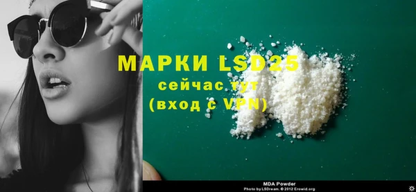 хмурый Ельня