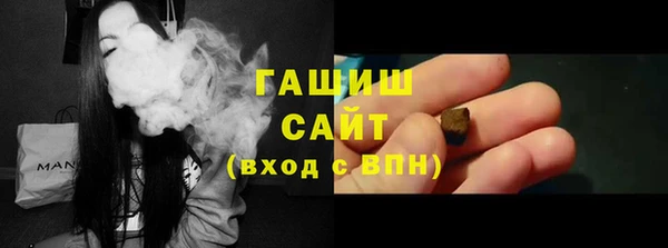 хмурый Ельня