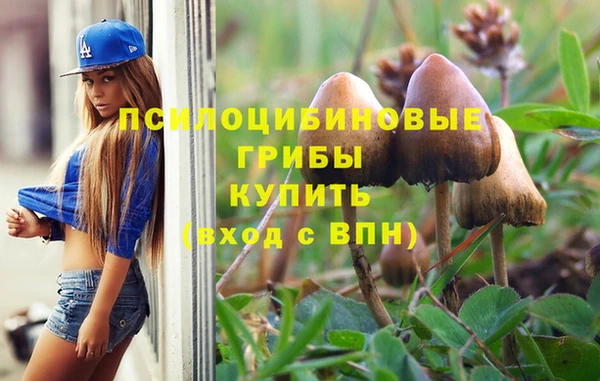 хмурый Ельня