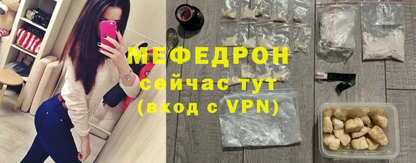 хмурый Ельня