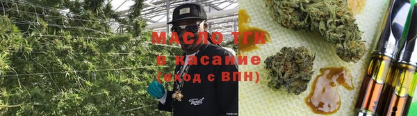 хмурый Ельня