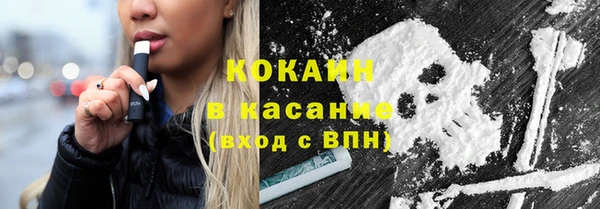 хмурый Ельня