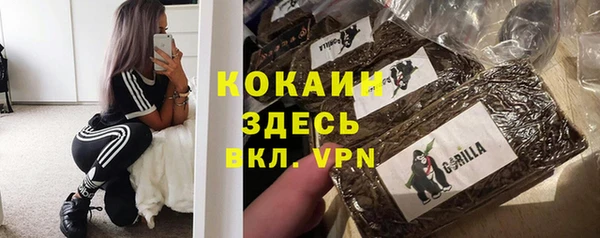 хмурый Ельня