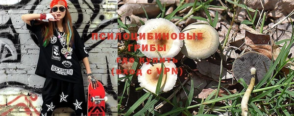хмурый Ельня