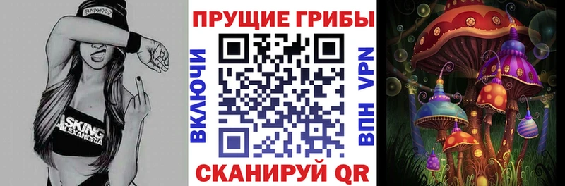 Псилоцибиновые грибы ЛСД  Купить  Избербаш 